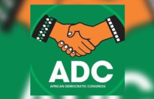From Nyanya to Three Arms Zone: August 16 Bye-elections, Acid Test of ADC’s Political Muscle