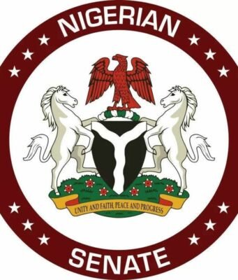 Senate Launches Probe into Recent Airline–Passenger Clashes