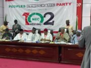 2027: PDP NEC Zones 2027 Presidential Ticket to South, Ratifies Damagum as Chairman