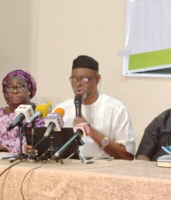 One in Three Nigerian Women Face Gender-Based Violence – Centre LSD