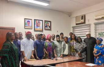 Chinese employers sexually abused us, Nigerians rescued from CAR say