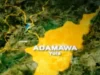 Flesh-eating disease claims 7 lives in Adamawa