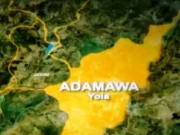 Flesh-eating disease claims 7 lives in Adamawa