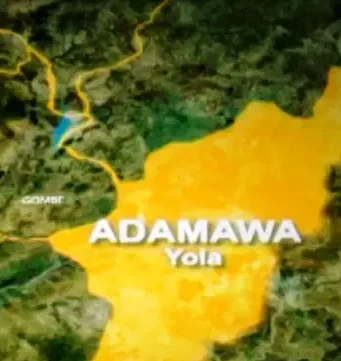 Flesh-eating disease claims 7 lives in Adamawa