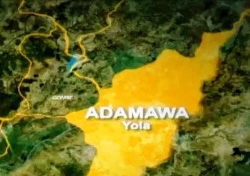 Flesh-eating disease claims 7 lives in Adamawa