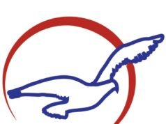 Air Peace Crew Accused of Alcohol, Cannabis Use as Airline Pushes Back