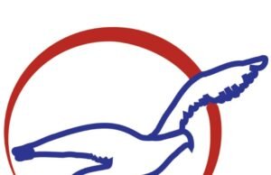 Air Peace Crew Accused of Alcohol, Cannabis Use as Airline Pushes Back