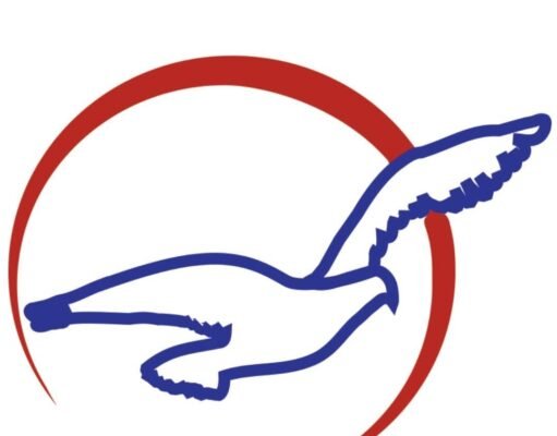 Air Peace Crew Accused of Alcohol, Cannabis Use as Airline Pushes Back