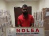NDLEA Arrests Indian Businessman, Three Others over N3.9bn Tramadol at Lagos Airport