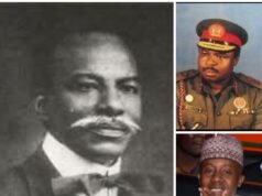 Tinubu Grants Posthumous Pardons to Macaulay, Vatsa, Saro-Wiwa, Others, Frees 82 Inmates