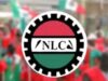 Ajaero-led NLC faces internal revolt over directive against pro-Tinubu group