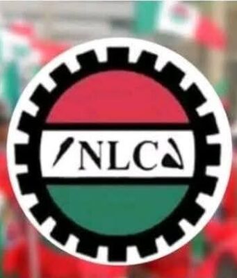 Ajaero-led NLC faces internal revolt over directive against pro-Tinubu group